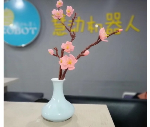 安溪編程培訓校區