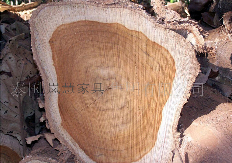 橡膠木
